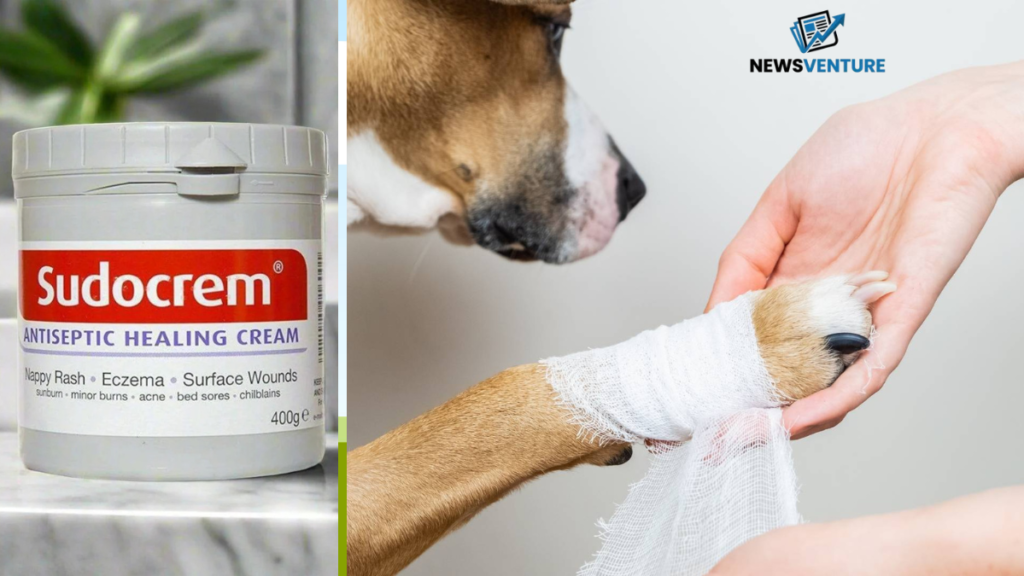can you use sudocrem on dogs