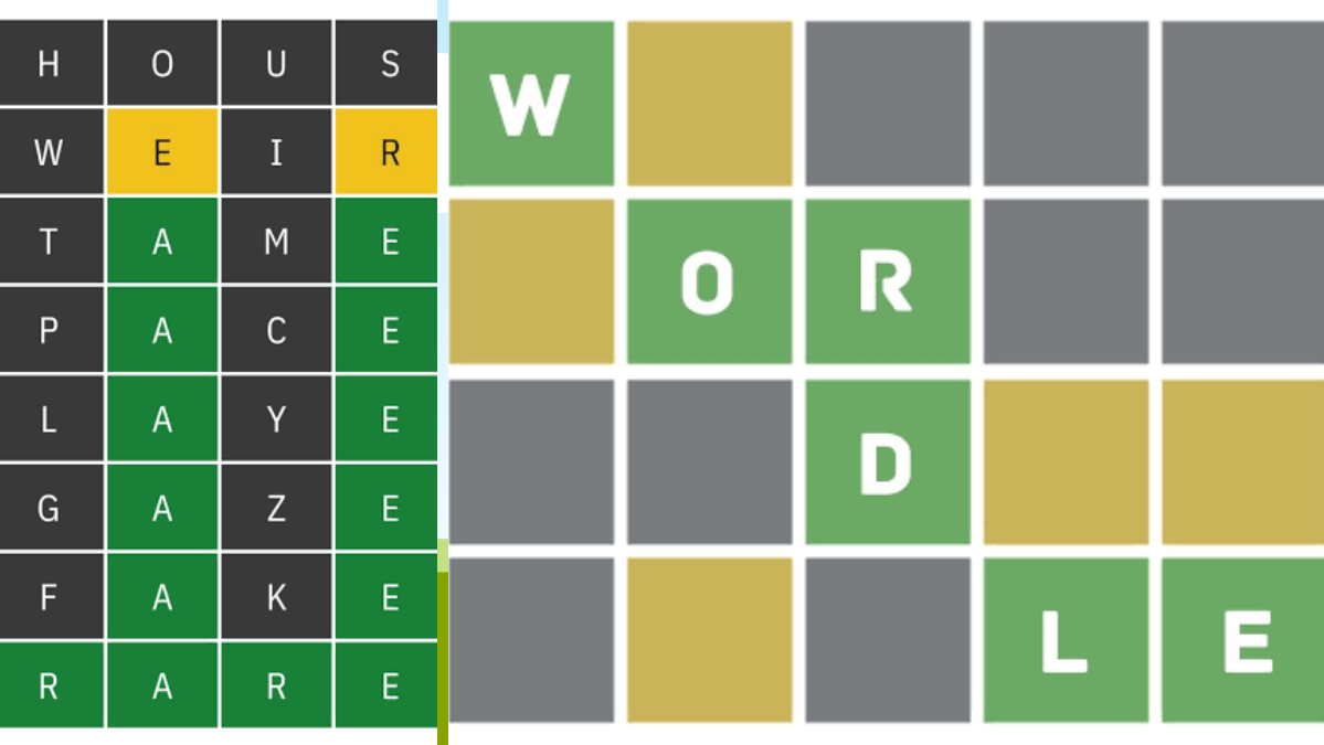wordle words used